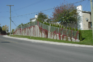 Retaining Walls